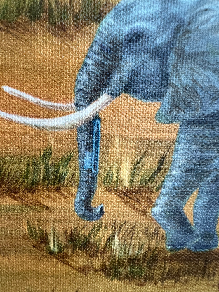 Search For 10 artwork have cleverly hidden pictures of toothbrushes, bandages or keys in your choice of 3 captivating scenes including Fish Tank Favorites and Rainforest RoundUp.