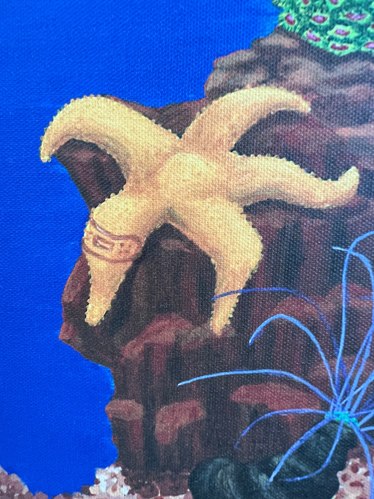 Search For 10 Hidden Bandages is wall art designed for children to beat boredom while in waiting rooms. In your choice of 3 scenes including African Animal Sights, Fish Tank Favorites and Rainforest RoundUp are 10 hidden bandages waiting to be found.